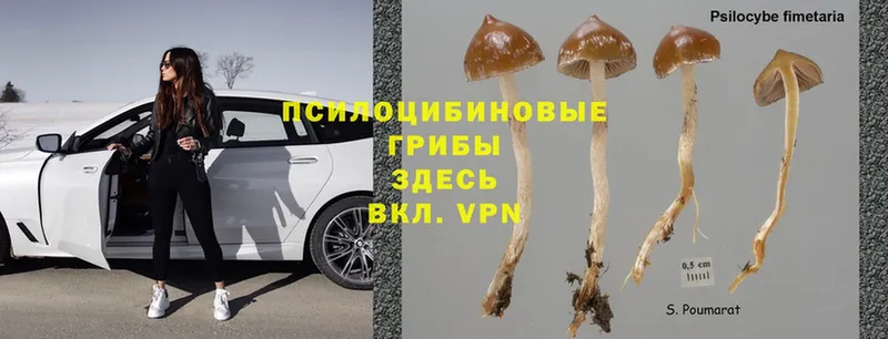 ссылка на мегу сайт  Лиски  Псилоцибиновые грибы Magic Shrooms 